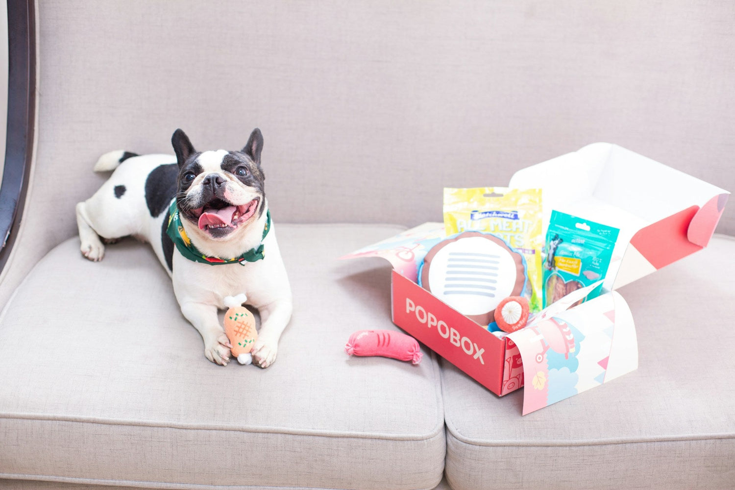 Dog Supplies