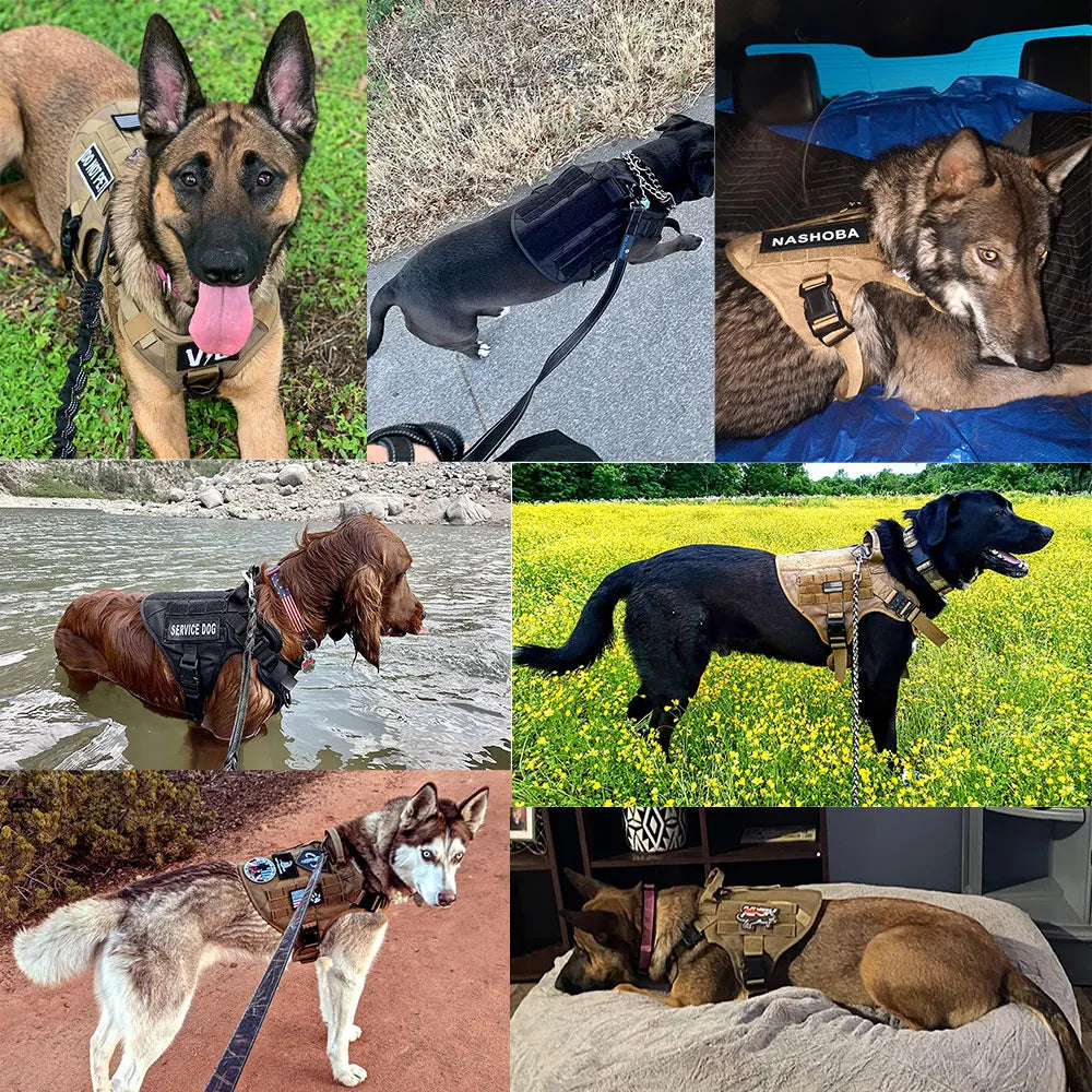 Large Dog Harness and Leash Set for German Shepherd and Malinois Training Walking Vest Collar for Medium and Large Dogs